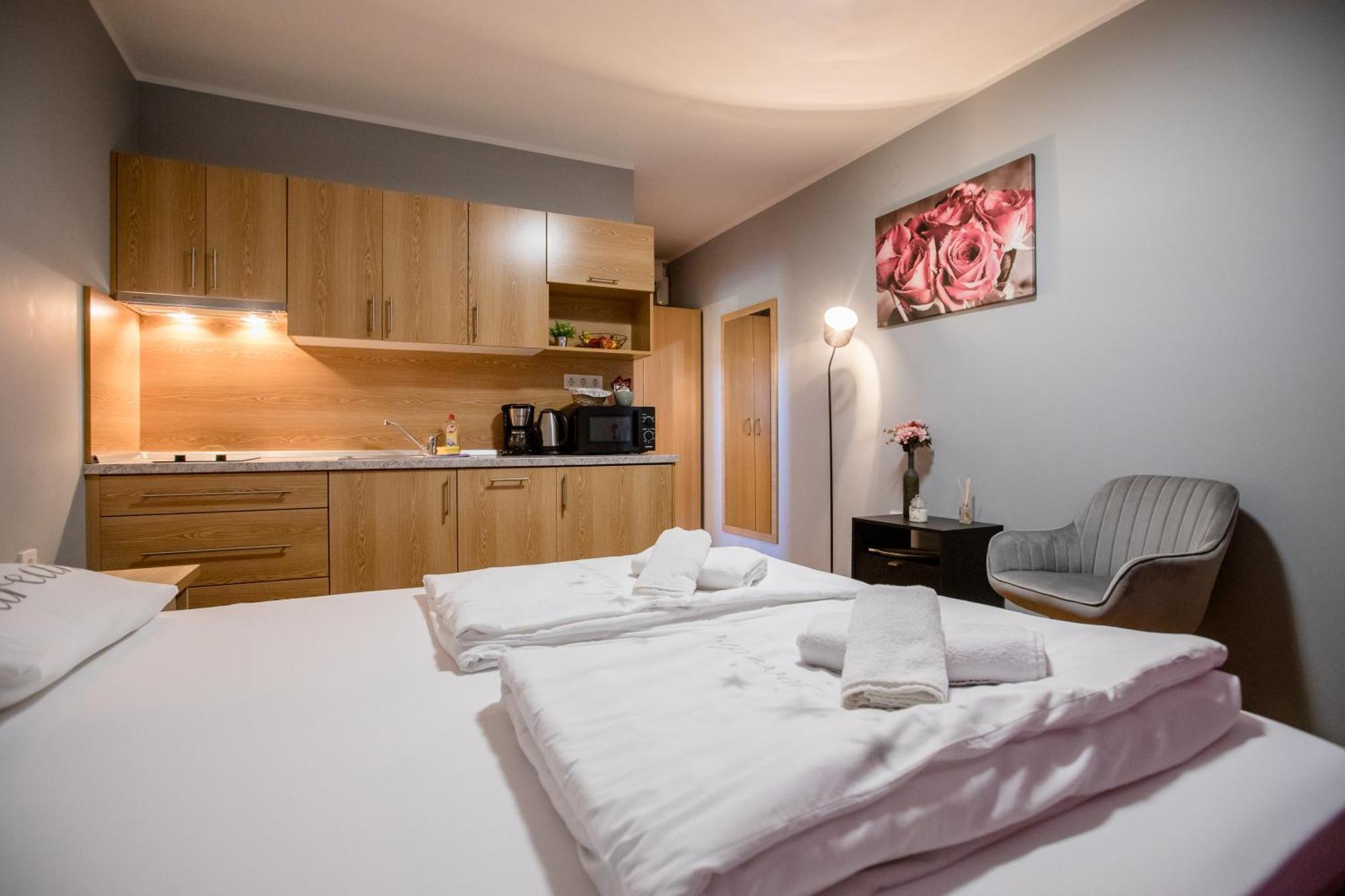 Apartmani Ana & Milo ロパール 部屋 写真